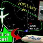 Alaska A320 HITS A LARGE BIRD AFTER TAKEOFF | "It hit on the nose"