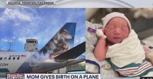 Frontier Airlines flight attendant helps deliver baby on Florida-bound plane