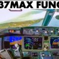 Tricky Funchal Landing TUIfly Boeing 737MAX | Wet Runway & Rain on Final